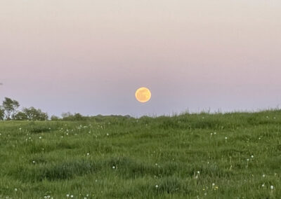 Gallery Image of full moon over pasture