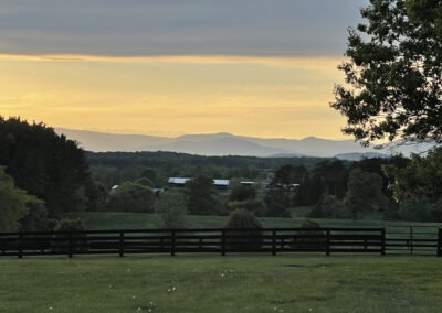 Gallery Image of goat paddock view to mountains