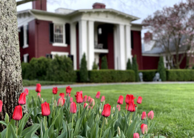 Gallery Image of Manor House with tulips